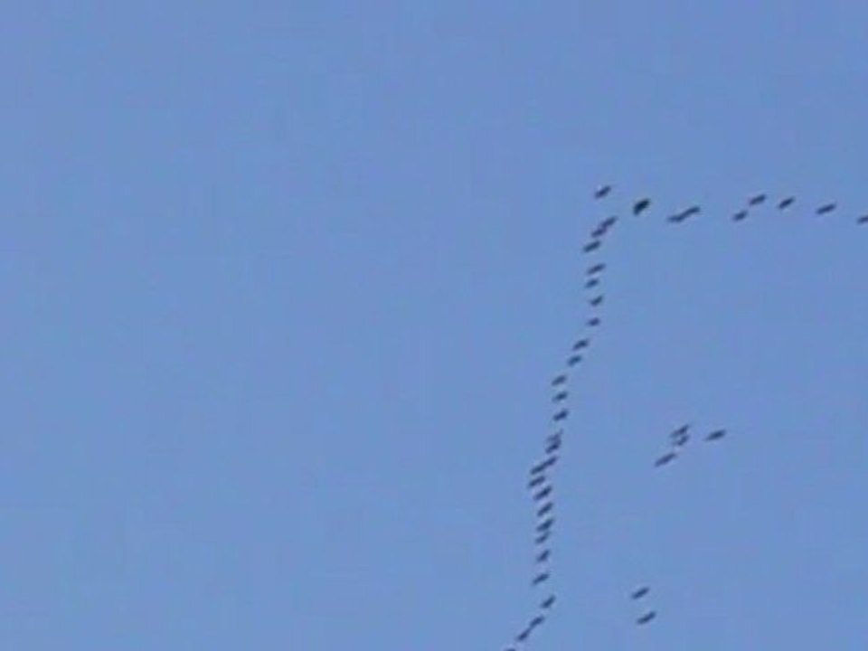 UN APRES-MIDI D'AUTOMNE 2011 A BUROS