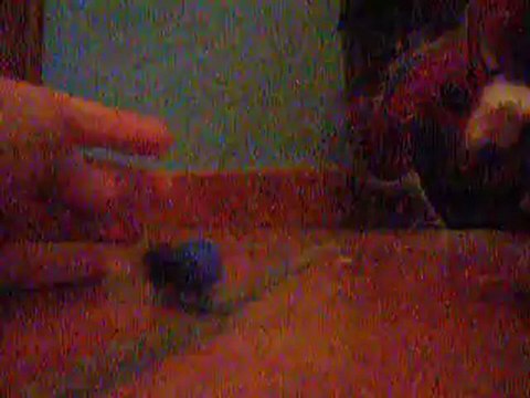 aventure lego 04 et ameliorations de ma maison;la presentation de la maison de 13400kakashi