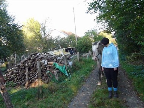 Défi loisir 1- marche-arrêt -marche