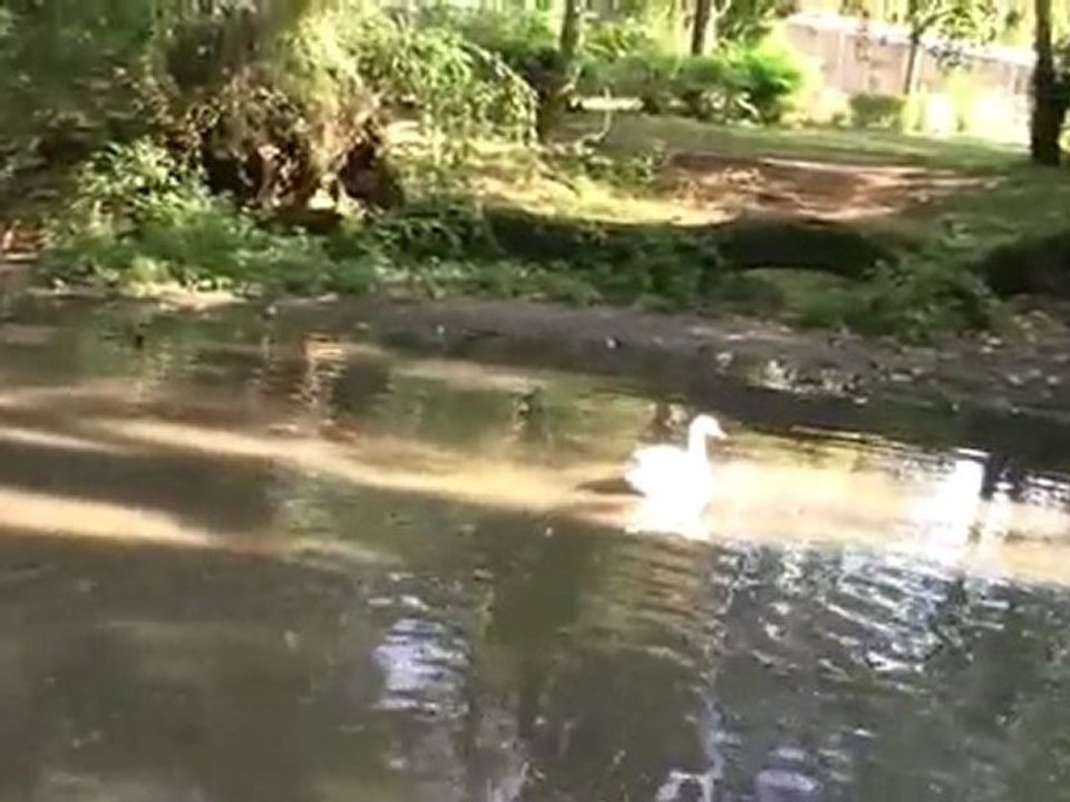 jardin aux oiseaux a upie 16.10.2011