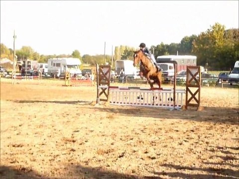 Concours à la Mairerie, Club2 et 1, Pensée du Vinnebus.