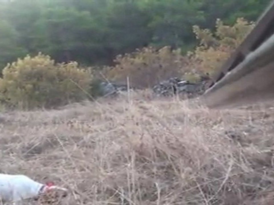 POİNTER LEYDİ BILDIRÇIN FERMA