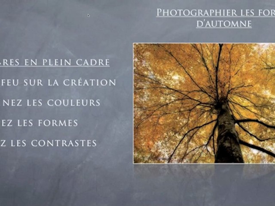 Tutoriel : comment photographier l'automne