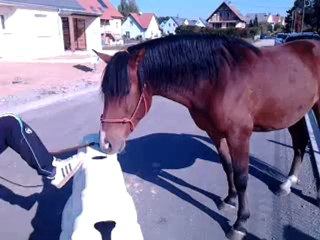 Ulkhan qui s'éclate (il a peur de rien)