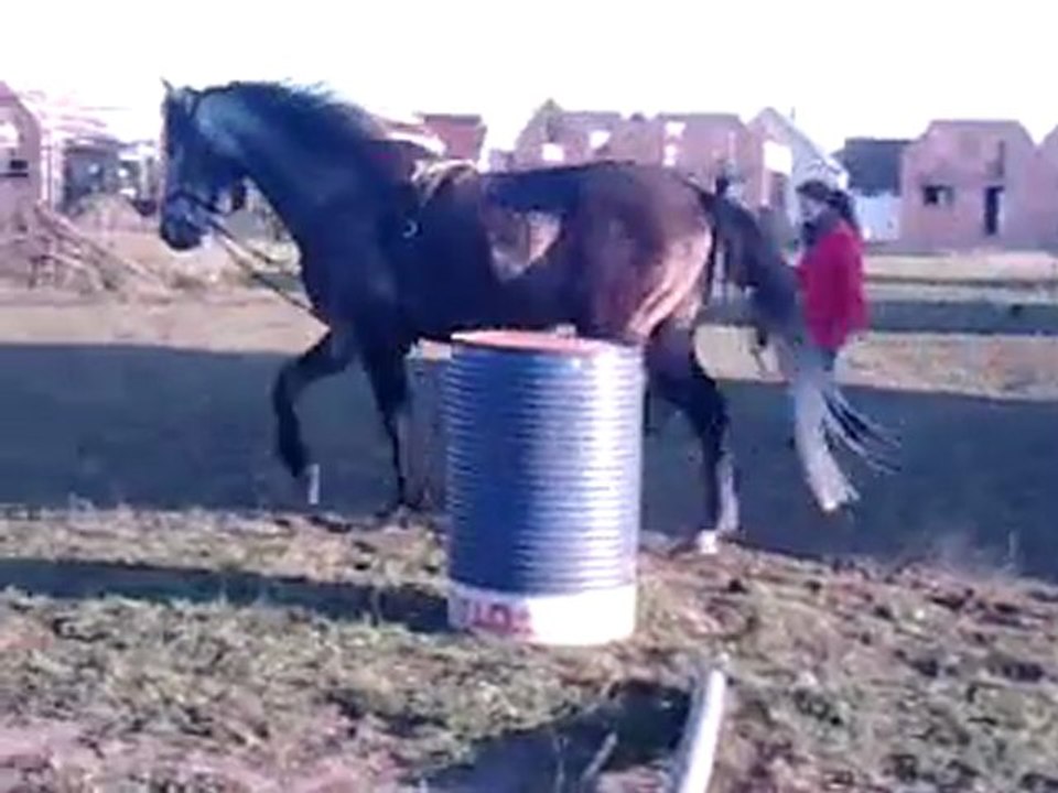 Jocasso en longe, ça se calme petit à petit