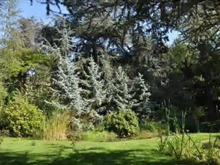 2011-10-16 Jardin d'Albert KAHN