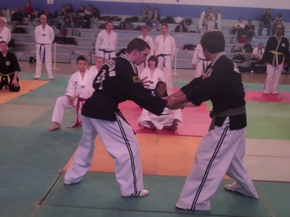 Maitre Lee Kang Jong, 8ème Dan de Hapki Mudo, enseigne au séminaire des arts coréens