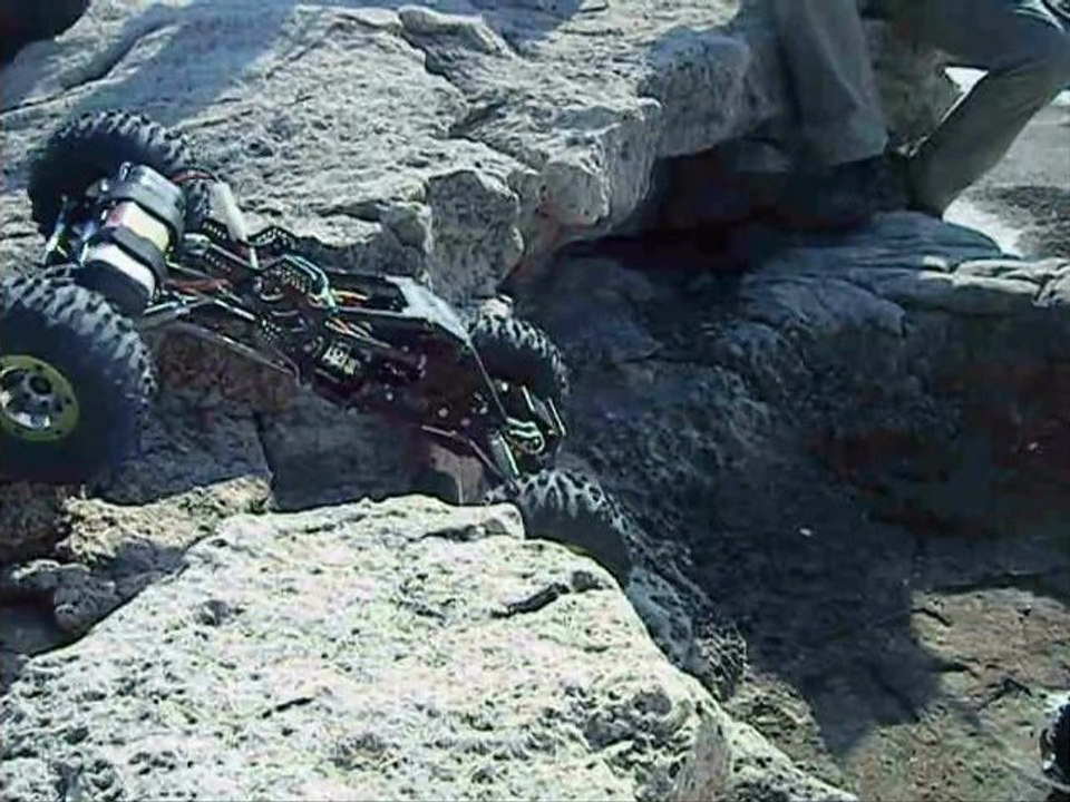 taz13