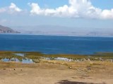 Bolivie - Lac Titicaca
