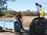 fruit picking