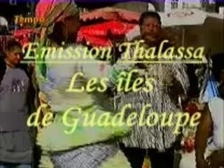 Les iles de Guadeloupe