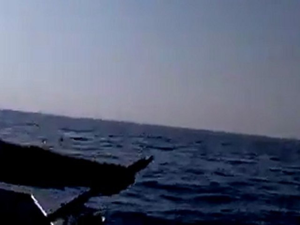 jigging tekniği ile balık avı: Hakan ÇEBEN shimano speed masterı patlatan balık