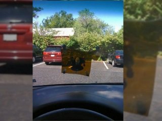 28080  auto glass installation