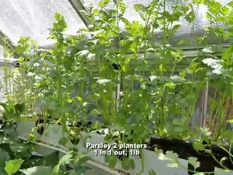 Sustainable Greenhouse Vegetable Harvest Log - Urban Food Farms