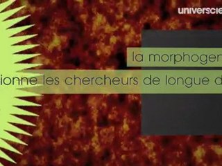 Voyage au cœur du vivant