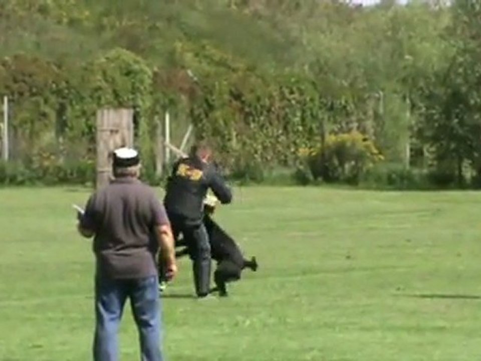 Schmied-Aleris-Zirbenlandturnier-2011-Schutz