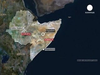 Petrolio e violenze in Etiopia. Bufera sul Ministro svedese