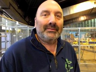 Cambrai: 2000 animaux au salon de la basse-cour