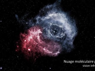 Picturing star motion - La nébuleuse de la Rosette