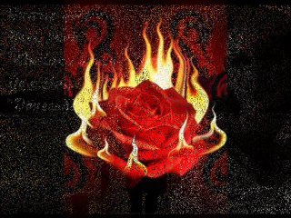 ınadına damar yasaklı sevdam azime öz