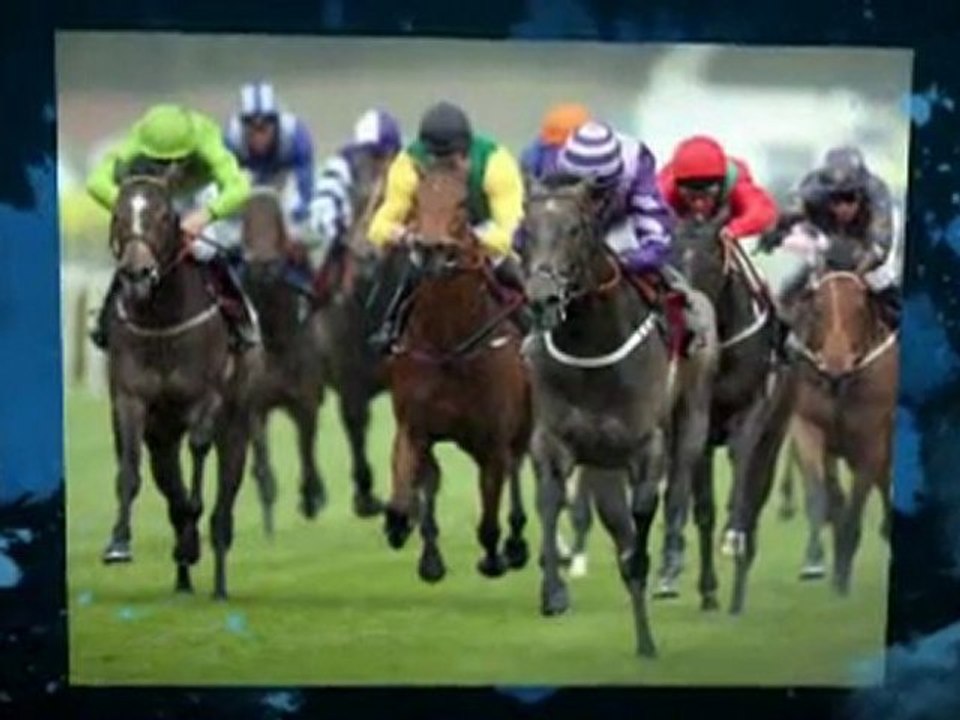 Racing tips for today