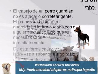 Entrenamiento Canino para Perros Guardián