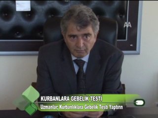 Kurbanlara Gebelik Testi 17.10.2011