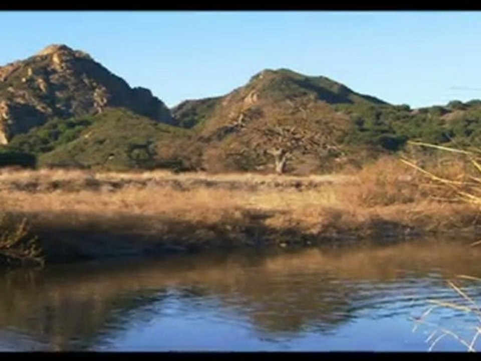 FR5_Prédateurs de la préhistoire - L'ancêtre du grizzli_Dim 26 déc 2010