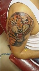 Kaplan dövmesi aslan dövmesi istanbul dövme salonu tattoo by murat dövmeci
