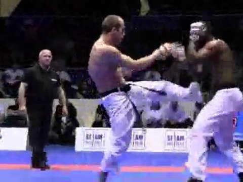 Tournoi Pro Fight Karaté 2011 - Finales poids lourds