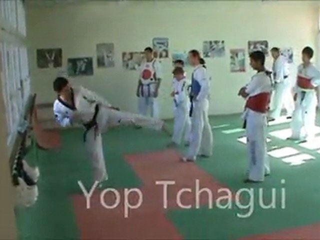 cours tkd plastron