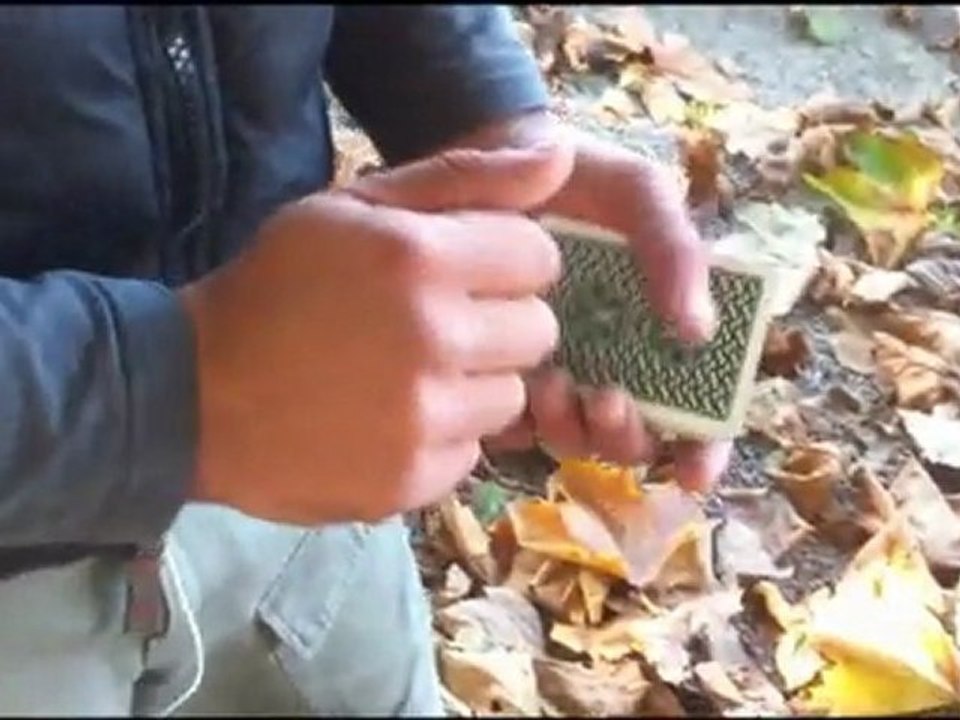 STREET CARD MAGICSNAM 2011 COLOR CHANGE