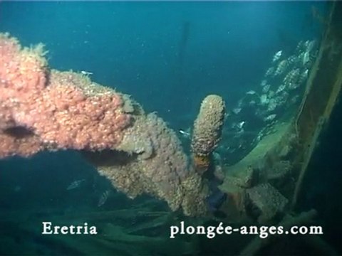 ERETRIA: plongée des machines vers l'étrave