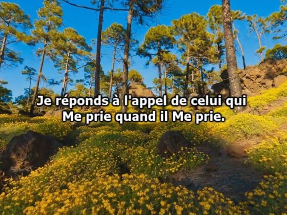 Reda Abdel Mussin - Sourate La Vache [Ayât du Ramadan; 183-188]