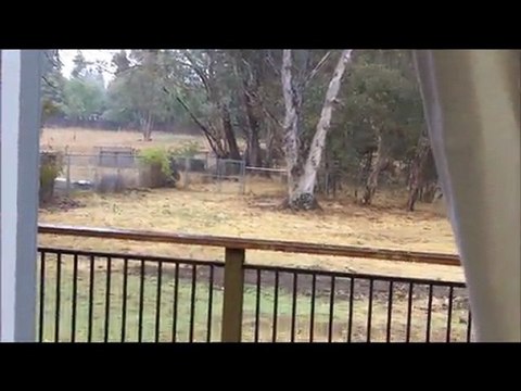 Country Setting on 2.5 acres on Santa Juanita in Orangevale CA