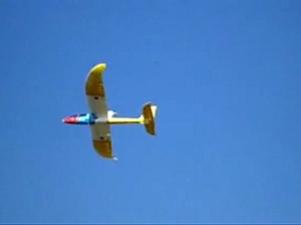 tanguy et son Phoenix