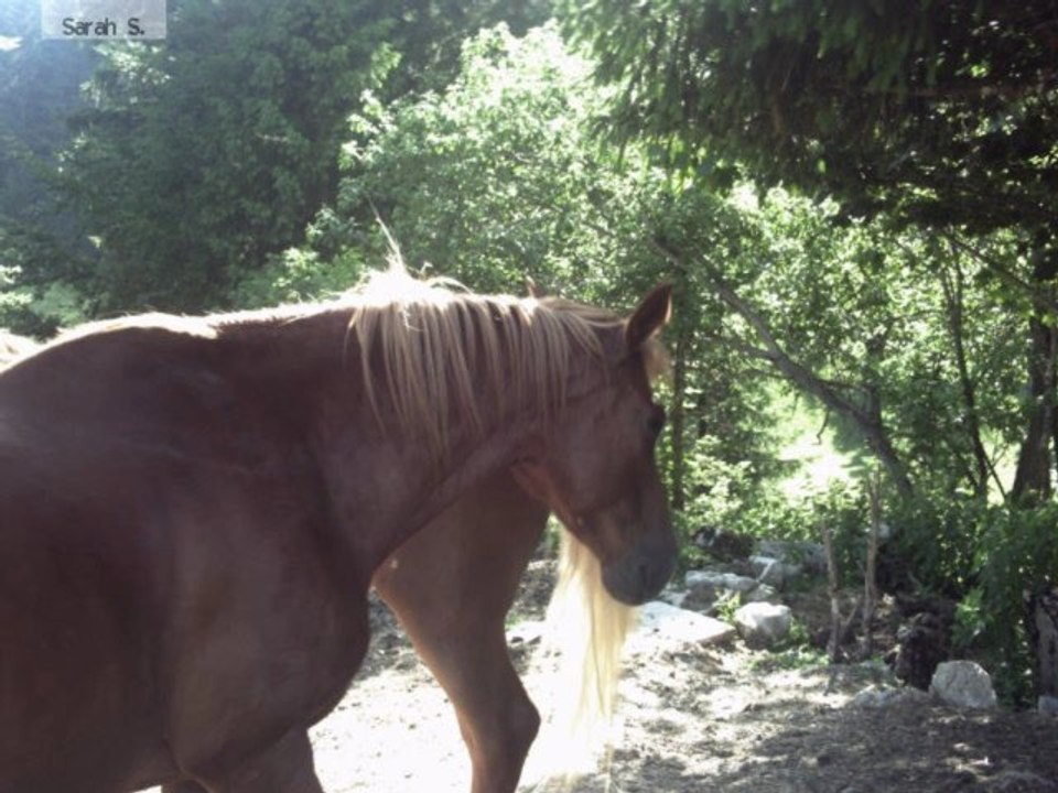 Photos 2010