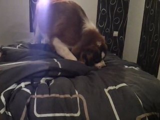 video-2011-10-11-21-34-11