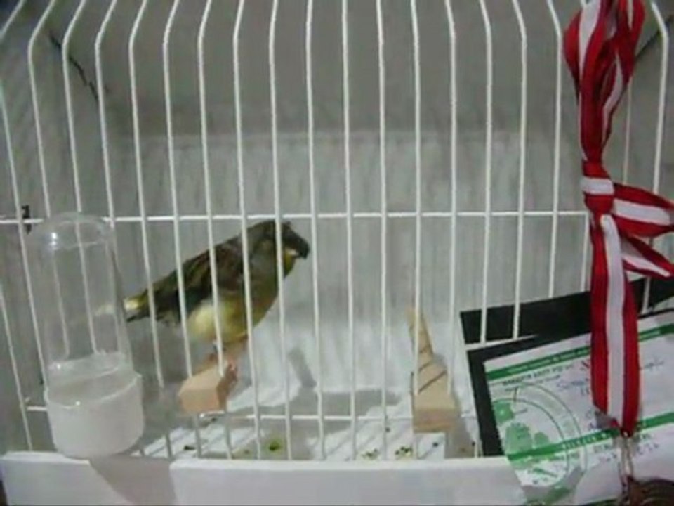 MELANİN AHRAÇ TEPELİ-3 KÜTAHYA | 2011