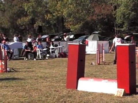 DEGRE CCABS 161011 ETHAN