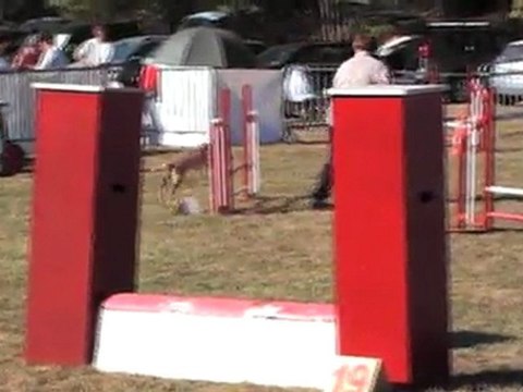 DEGRE CCABS 161011 RISKY