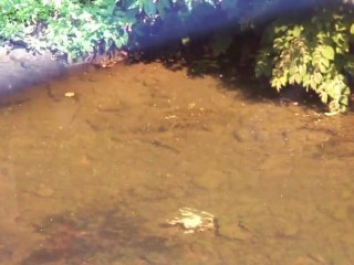 Test et avis lunettes polarisantes + filtre polarisant sur un reflex en mode vidéo