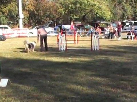 DEGRE CCABS 161011 SWEET SUITE