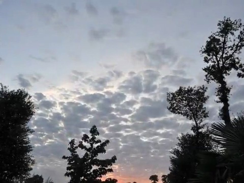 test2-desktop