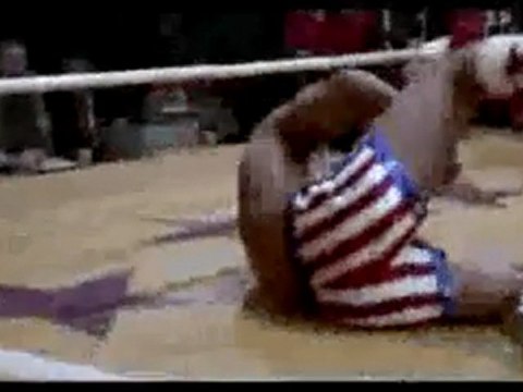 DJ BARIS BALCI - ROCKY FLY NOW (IBIZA WARM UP MIX)