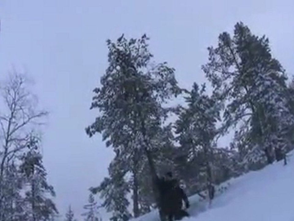 Fällen von Bäumen auf seinem schwedischen