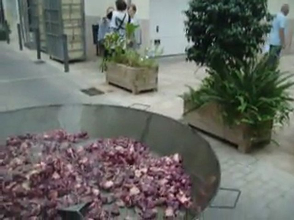 la bambina paellas gigantes