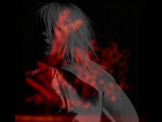 Bruno Thiévet - panthèreS