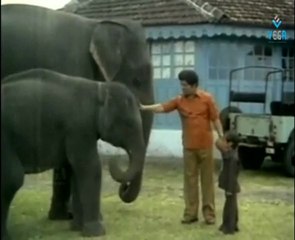RAAM LAXMAN SCENES 01.mov