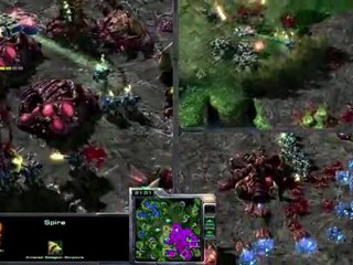 IPL 3 Top 10 des meilleures actions